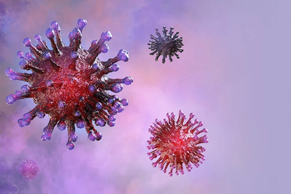 A 3D medical illustration of the coronavirus